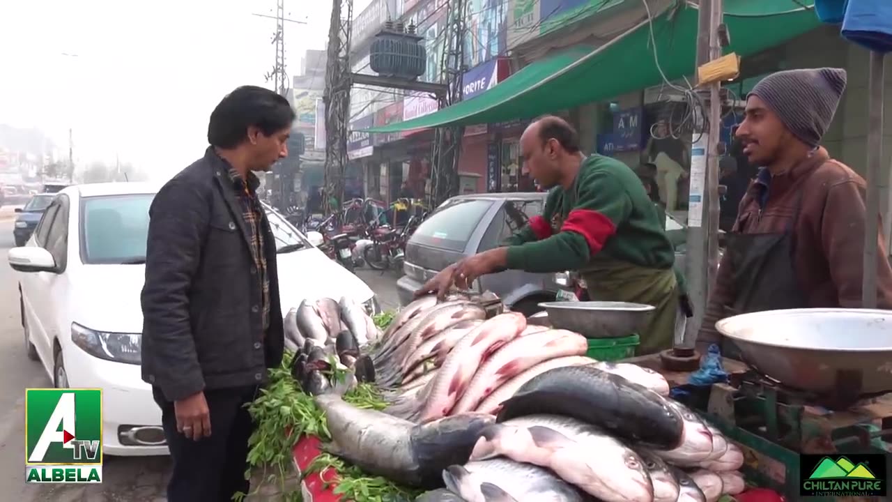 Fish Shop New Comedy Corner Goga Pasroori and Saleem Albela very Funny Video