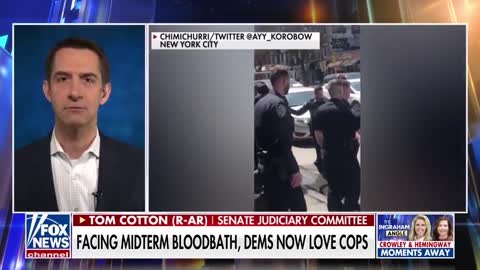 Sen. Tom Cotton: I just can't believe this is happening