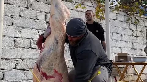 Choose the fatest lamb and cook it
