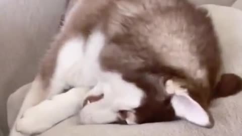 I can never do nothing