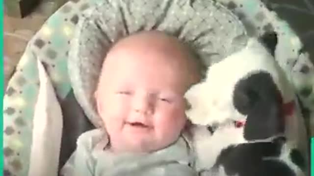 the famished dogs that watch over the babies
