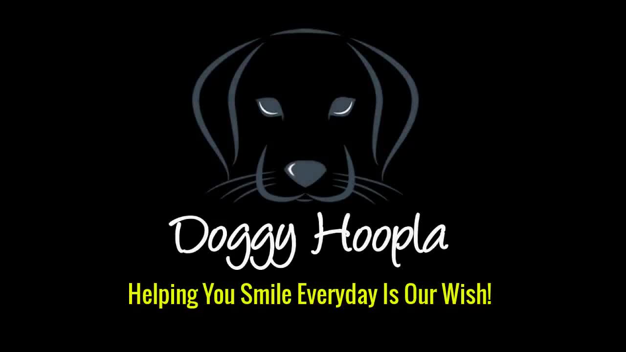 Best Doggy Hoopla's Funny Dogs Playing Funny Games /funny funny funny/