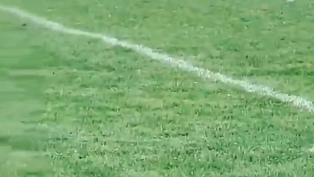 Rugby kid athlete