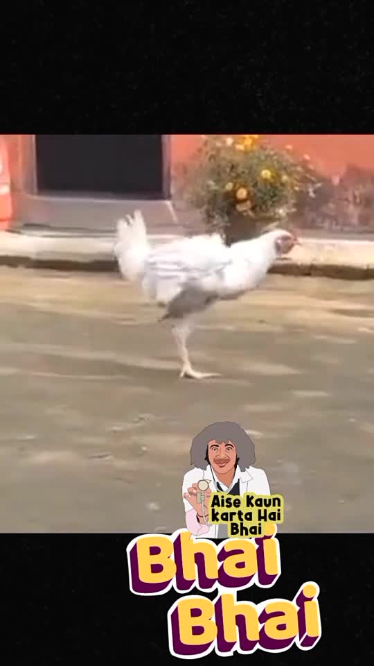 What a funny dance of hen or chicken.