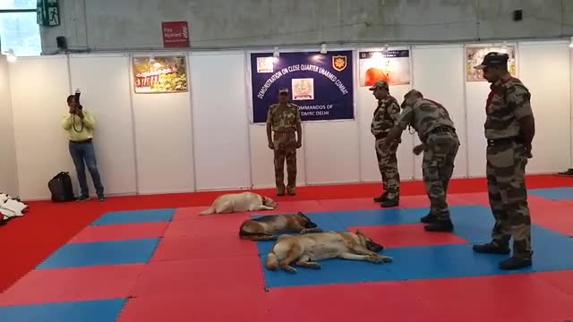 ClSF Demonstration of dog Squad