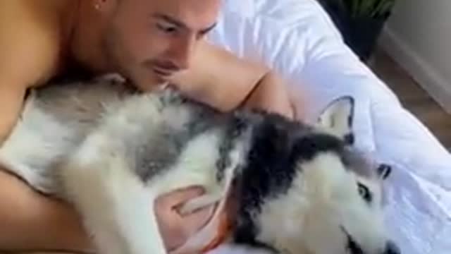 Funny Husky freaks cuddling with her mother. But loves dad. Watch the moment.