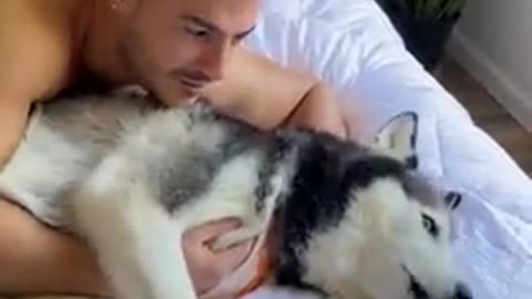 Funny Husky freaks cuddling with her mother. But loves dad. Watch the moment.