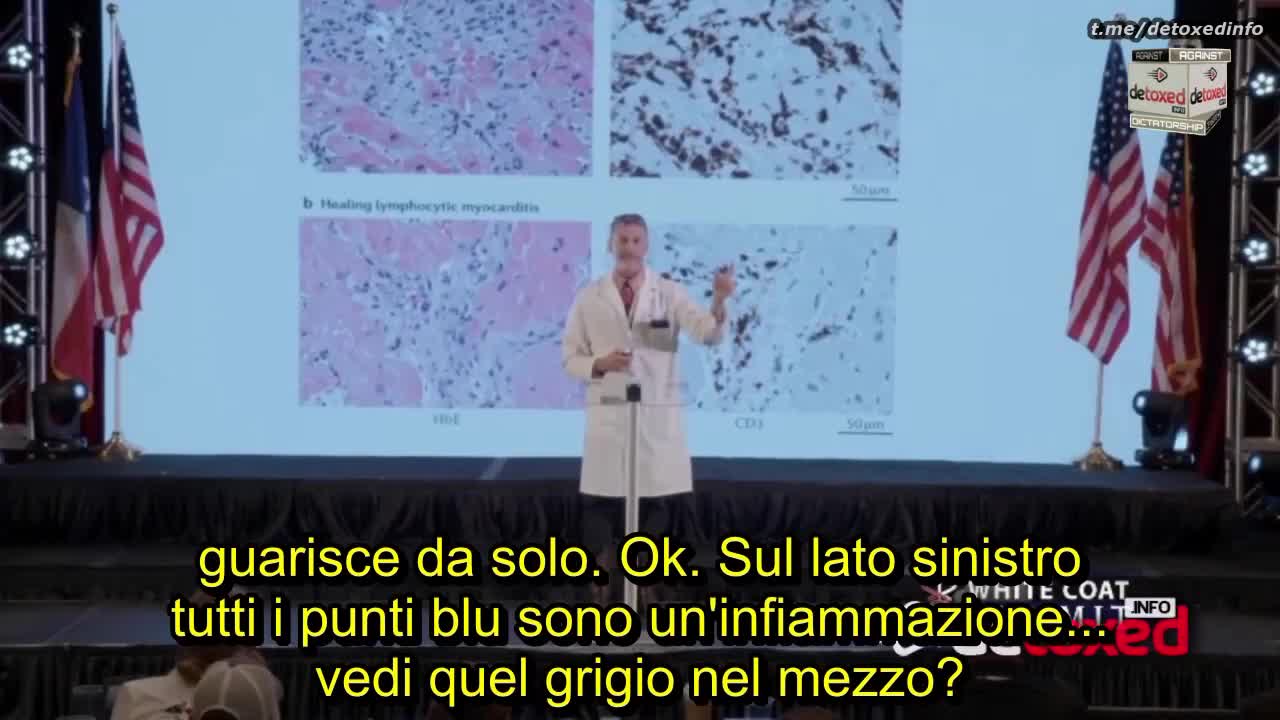 Dr. Ryan COLE: "La Spike è una tossina che crea infiammazioni autoimmuni e può arrivare al cervello"