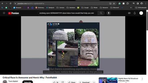 Critical Race Is Awesome and Here’s Why _ TwinRabbit - YouTube - Google Chrome 2024-02-26 21-03-04