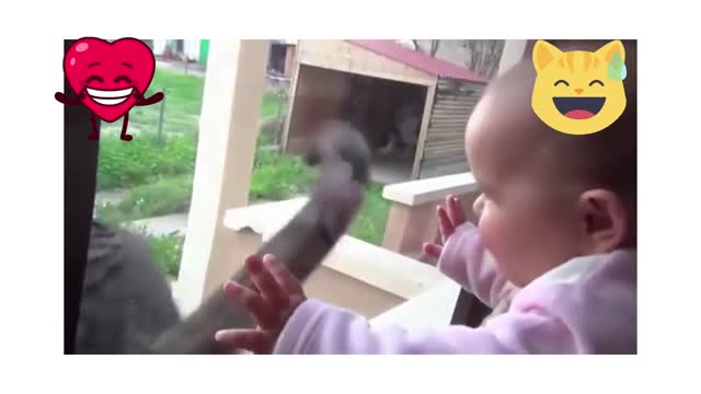 babies play with their pets