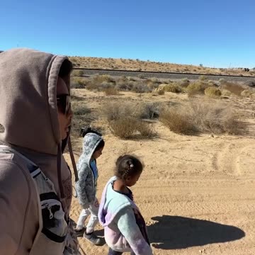 Have you seen a Dinosaur?