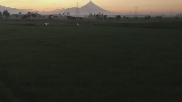 Mount Mayon