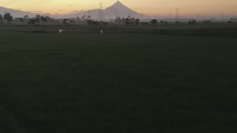 Mount Mayon