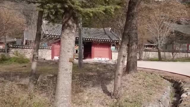 Birdsong,tample,walkway in Korea