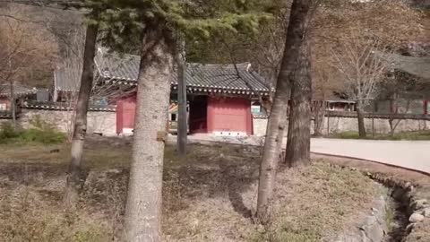 Birdsong,tample,walkway in Korea