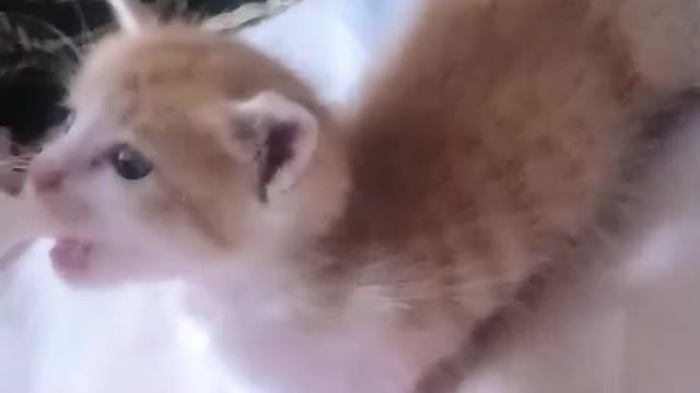 NICE CUTE BABY