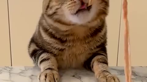 You may want to eat it.