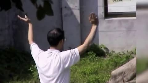 MUST SEE - Man vs Lion - Man entered the lions cage in Taipeh Zoo