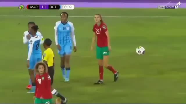 ملخص المغرب وبوتسوانا