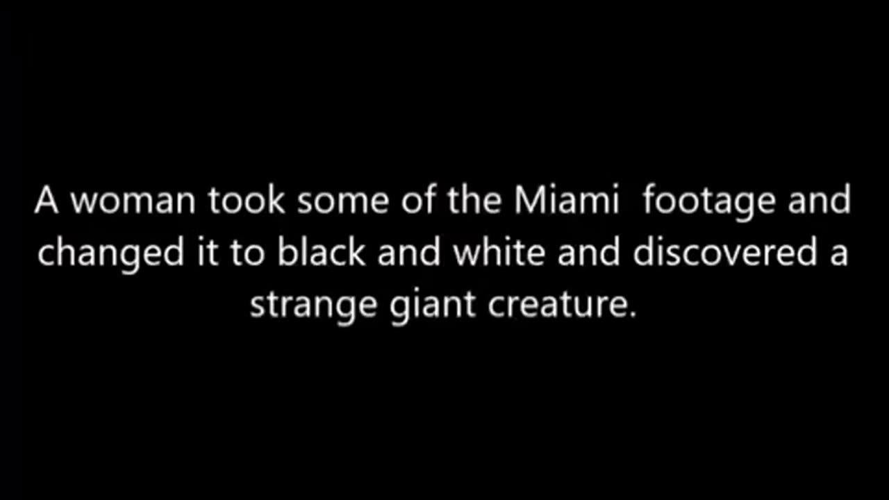 A VIDEO OF THE 10' CREATURE IN MIAMI HAS EMERGED