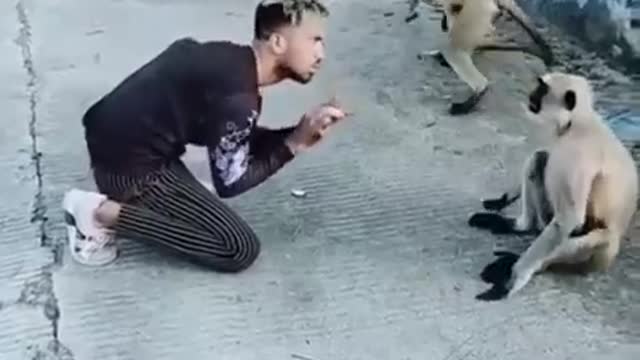 very funny A guy Playing with Monkey