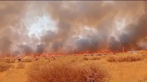 Wildfire leaves six soldiers dead in the Northern Cape