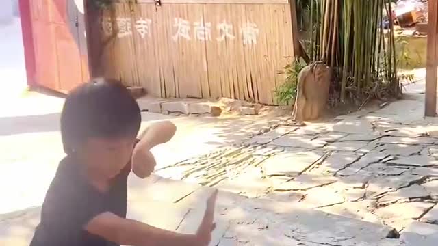 Seven-year-olds perform Chinese kung fu