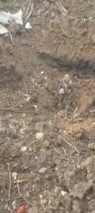 Center of Mariupol now