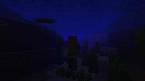 Minecraft vanilla skin version 1.17.1_ Shorts_2nd_Outting_12