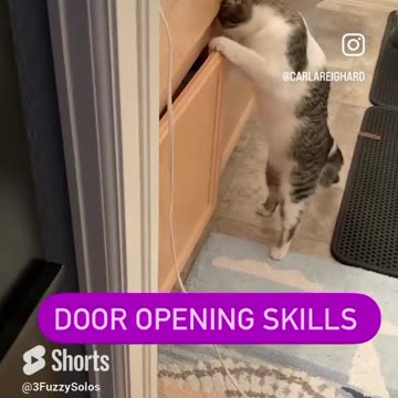 Napoleon Dynamite Skills