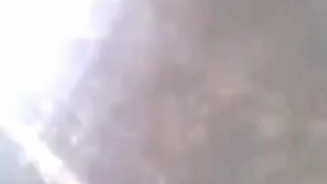 Funny funny cat video u will dwl