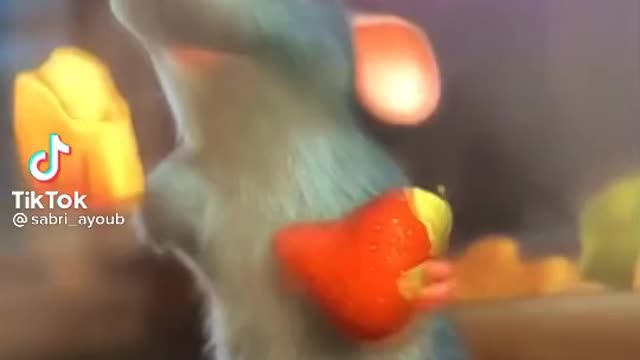 Sabri Virals '' should try this 😂''