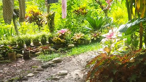 Love nature
