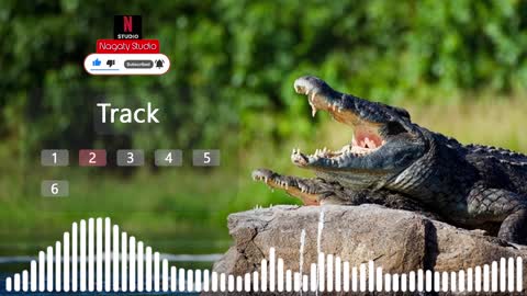 Crocodile sound effect | crocodile sounds roar | animal sounds | HQ