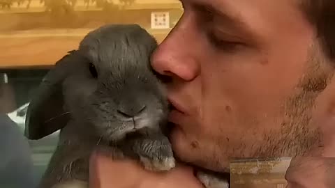 Bunny bunny kiss