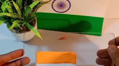 Indian flag video