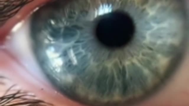 you are my eyes