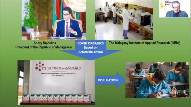 The Madagascar Protocol for COVID 19_ Artemisia annua and Ivermectin.