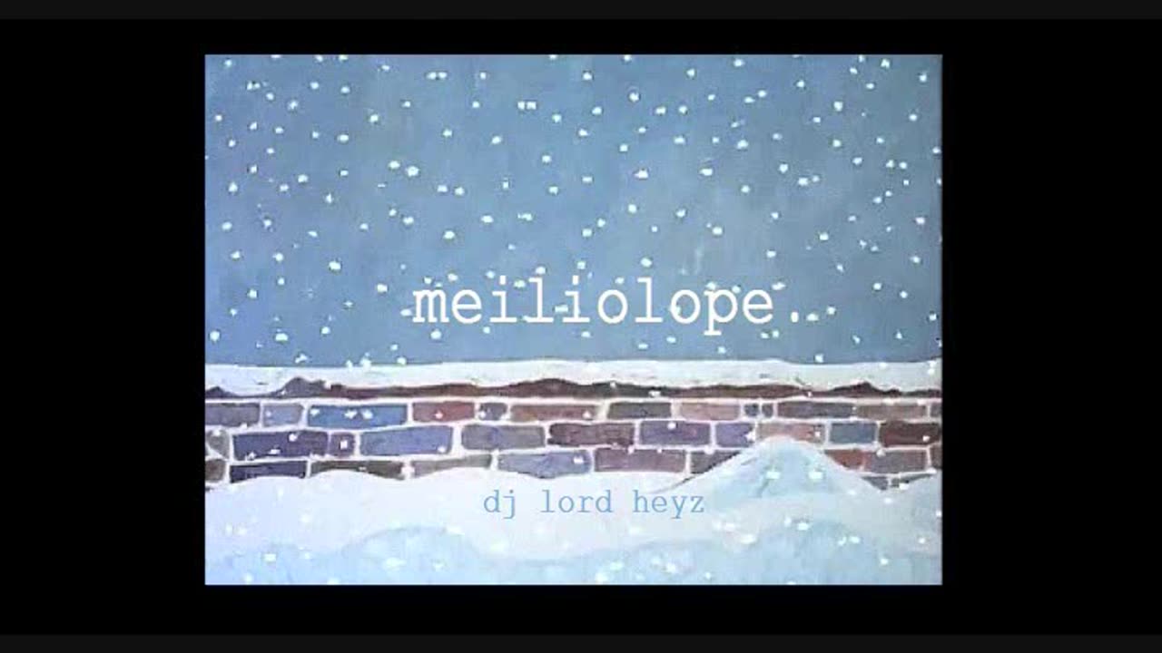 meiliolope. (liquid DnB mix- dj lord heyz)