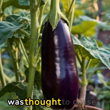 5 facts about your vegetables