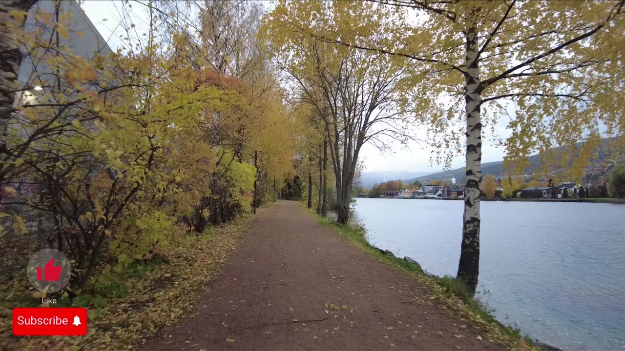 WALKTHROUGH ALONGSIDE RIVER #DRAMMEN #NORWAY - NO MUSIC - NO TALKING - 4K NATURE