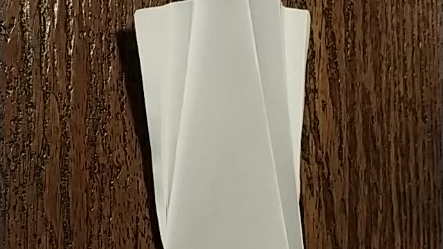 Origami Original: Dove part 2