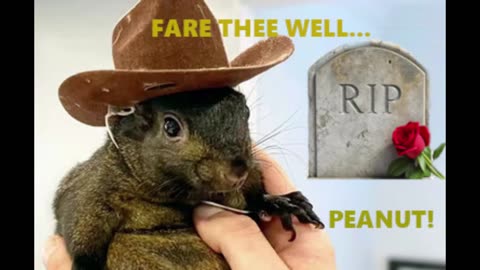 Fare Thee Well Peanut