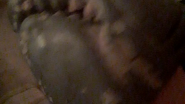 I want some cheese