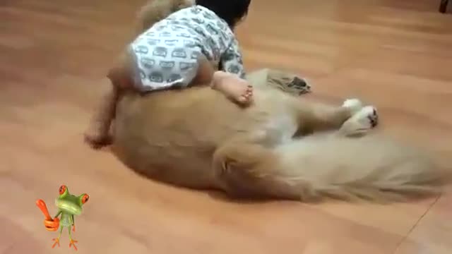 CUT FUNNY VIDEO