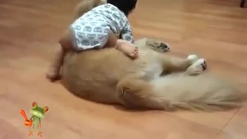 CUT FUNNY VIDEO