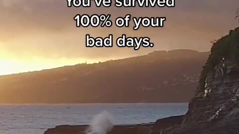 You’ve got this!