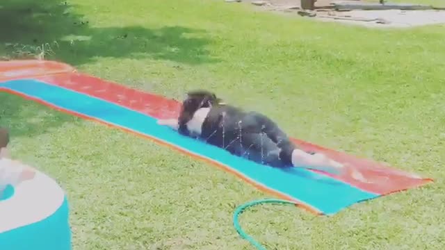Collab copyright protection - all black girl slip and slide flop