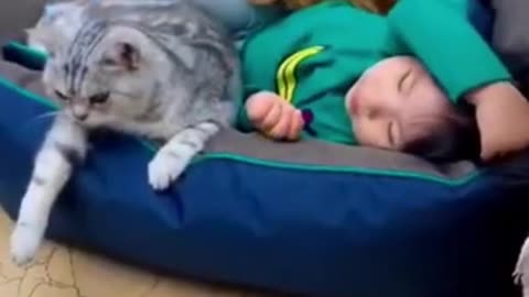 #shorts Love between humans cat and dog 2021 - funny cats 2021