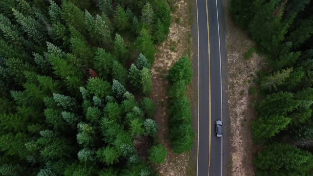 panning shot of car driving through forest